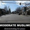 moderate_muslims